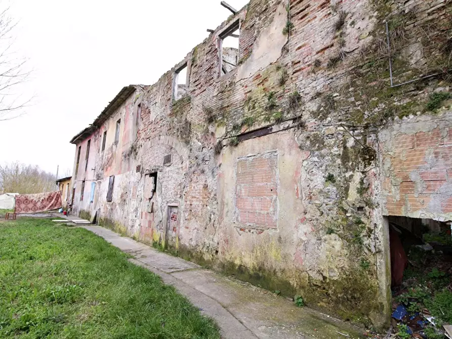 Immagine 2 di Casa colonica in vendita  a San Giuliano Terme