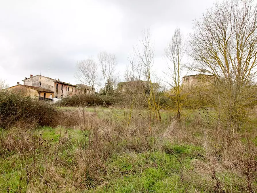 Immagine 23 di Casa colonica in vendita  a San Giuliano Terme