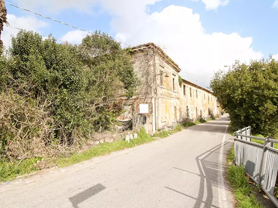Immagine 15 di Casa colonica in vendita  a San Giuliano Terme