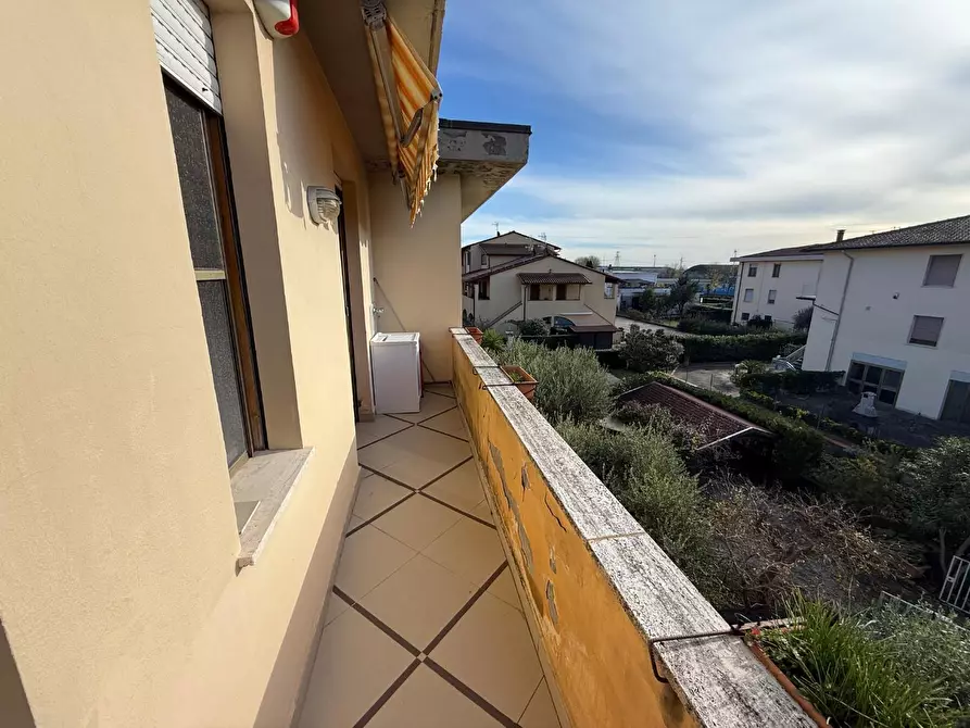 Immagine 45 di Appartamento in vendita  a Calcinaia