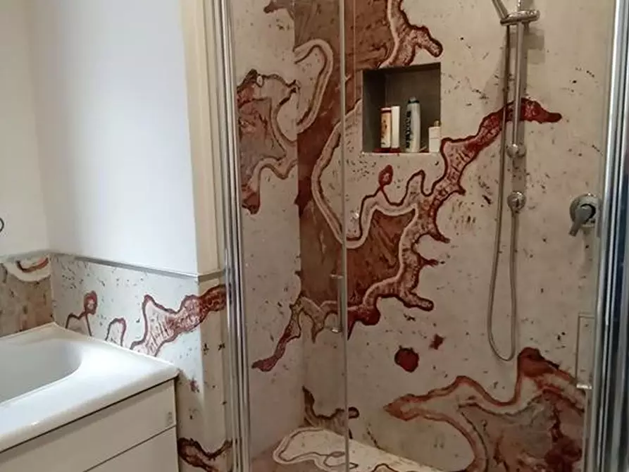 Immagine 16 di Rustico / casale in vendita  a Camaiore