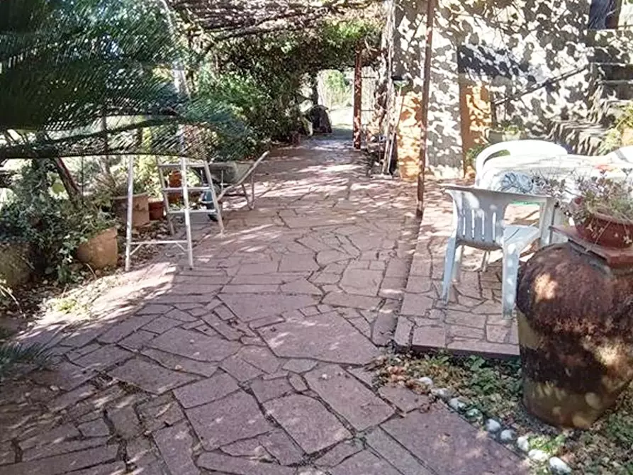 Immagine 2 di Rustico / casale in vendita  a Camaiore