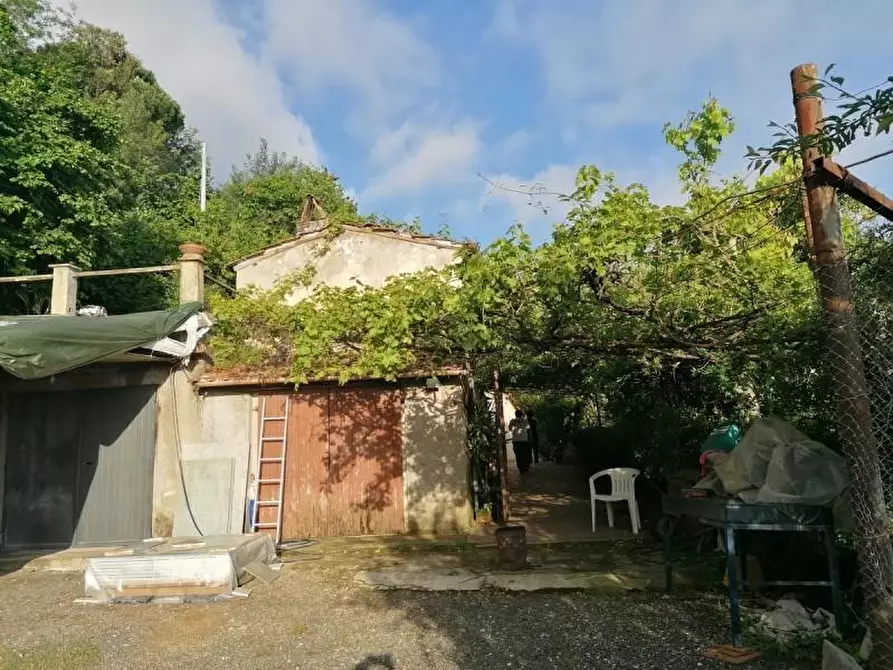 Immagine 33 di Rustico / casale in vendita  a Camaiore