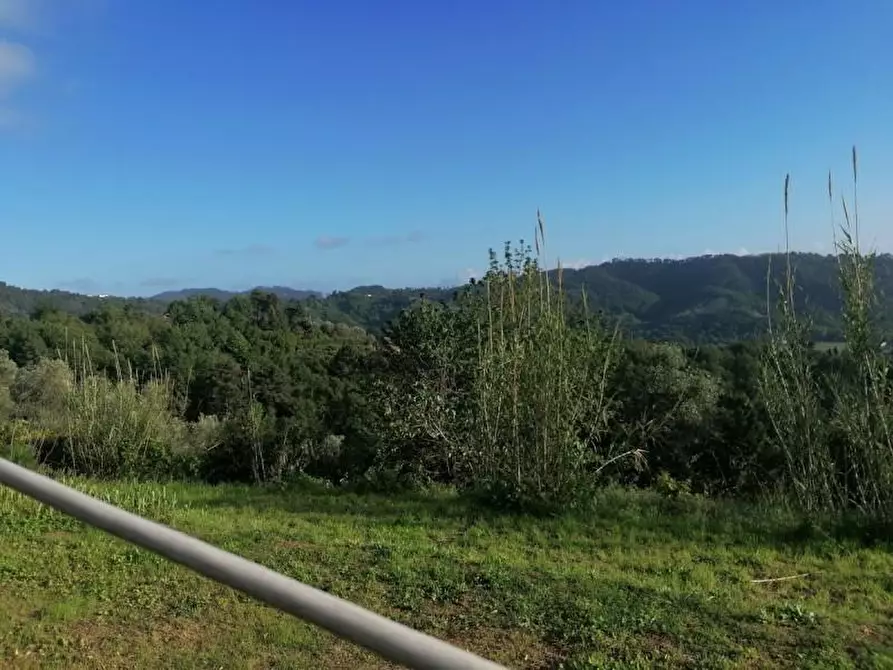 Immagine 30 di Rustico / casale in vendita  a Camaiore