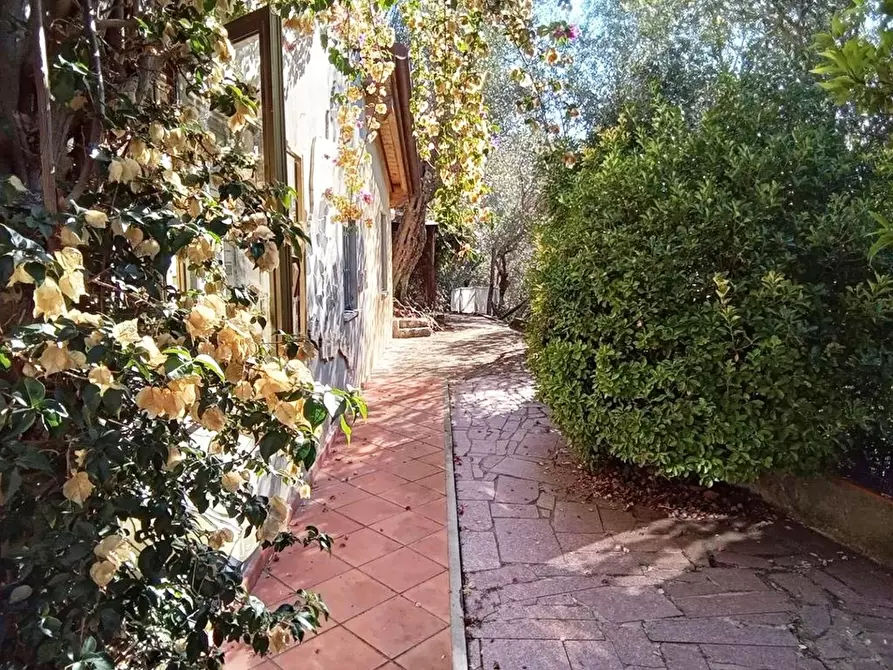 Immagine 5 di Rustico / casale in vendita  a Camaiore