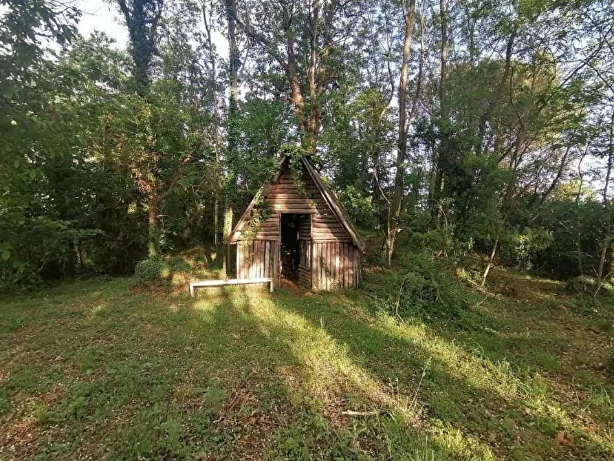 Immagine 32 di Rustico / casale in vendita  a Camaiore