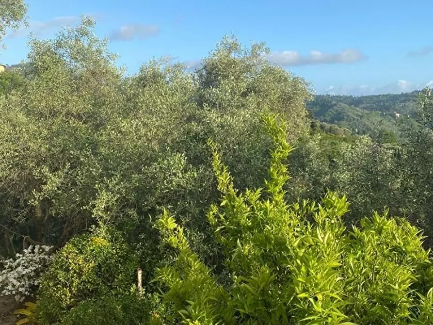 Immagine 31 di Rustico / casale in vendita  a Camaiore