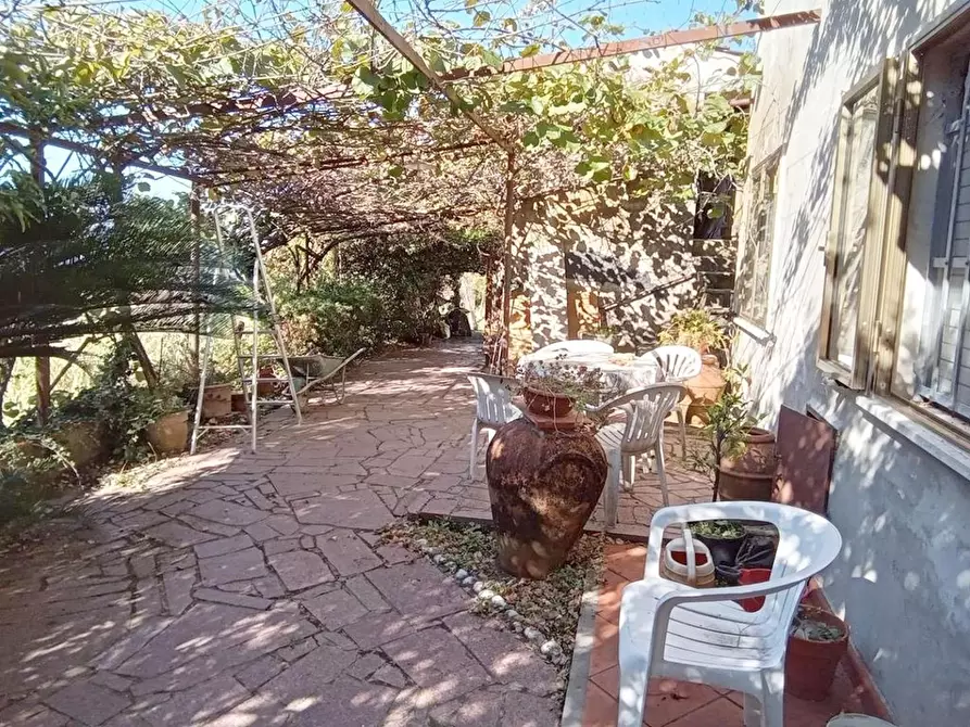 Immagine 3 di Rustico / casale in vendita  a Camaiore