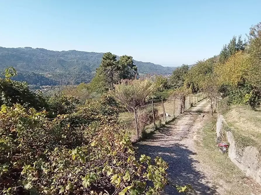 Immagine 26 di Rustico / casale in vendita  a Camaiore