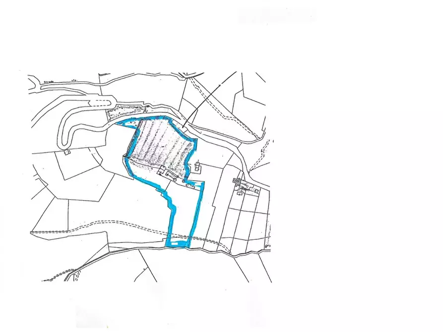 Immagine 43 di Rustico / casale in vendita  a Camaiore