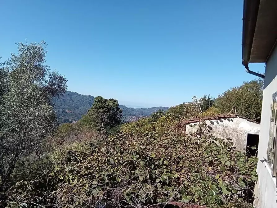 Immagine 1 di Rustico / casale in vendita  a Camaiore