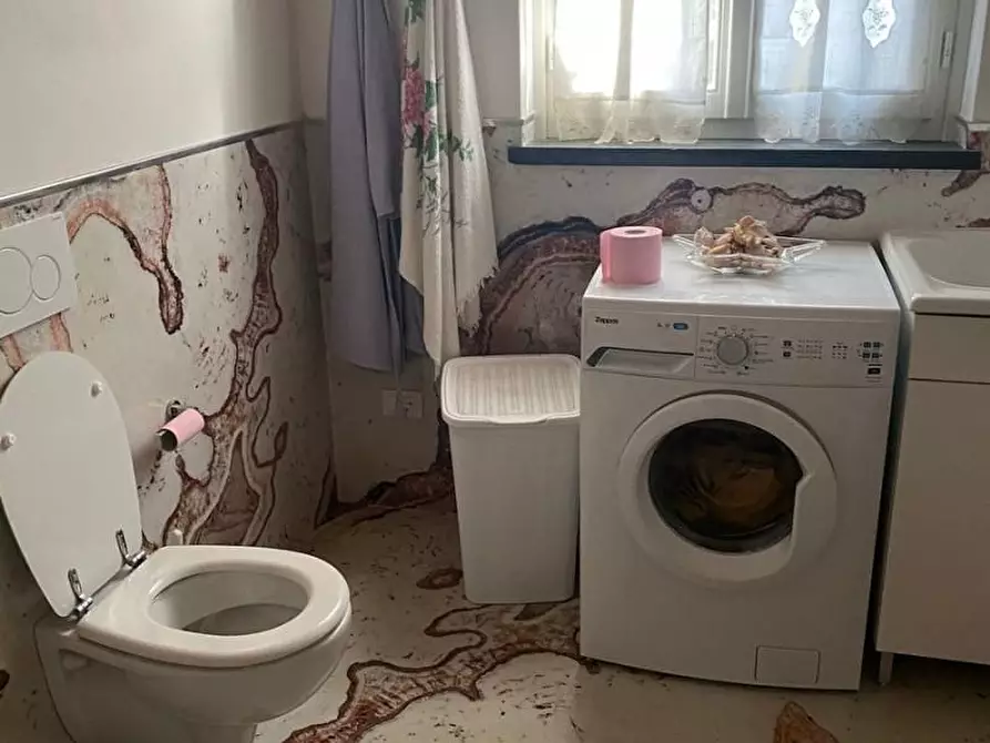 Immagine 17 di Rustico / casale in vendita  a Camaiore