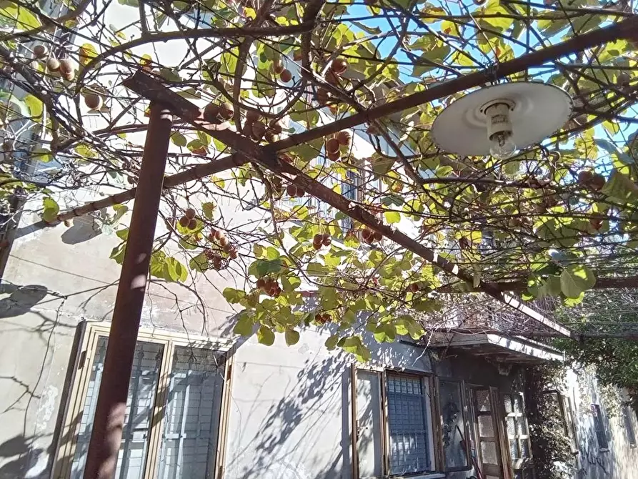 Immagine 4 di Rustico / casale in vendita  a Camaiore