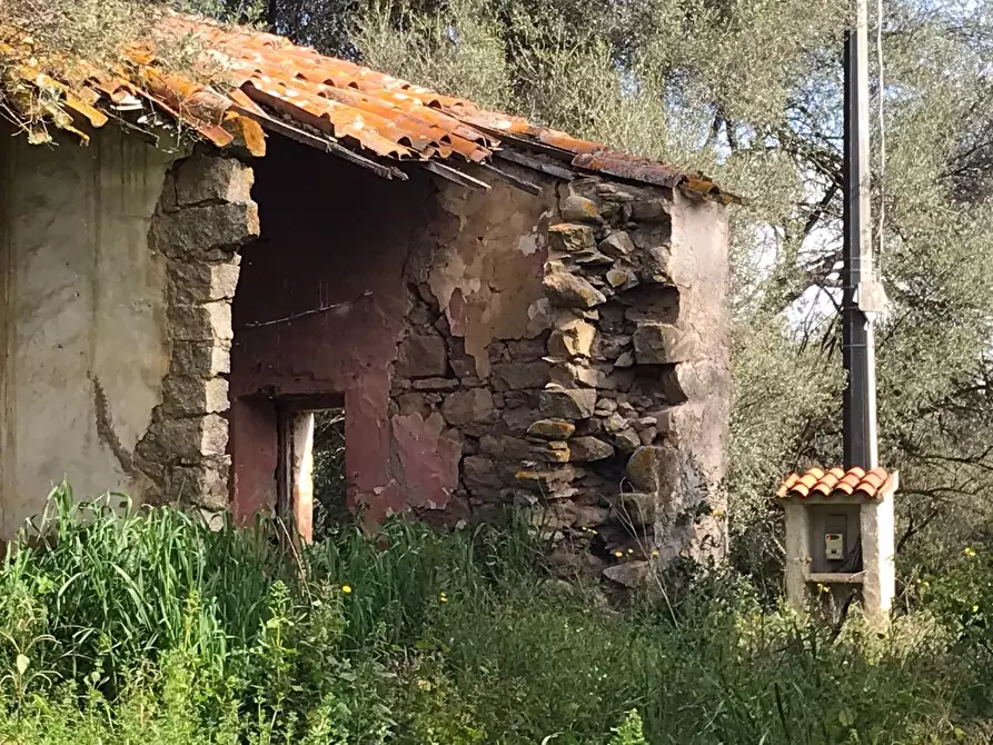 Immagine 11 di Azienda agricola in vendita  a Arzachena