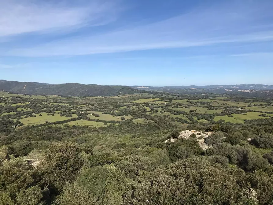 Immagine 46 di Azienda agricola in vendita  a Arzachena