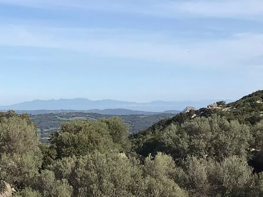 Immagine 44 di Azienda agricola in vendita  a Arzachena