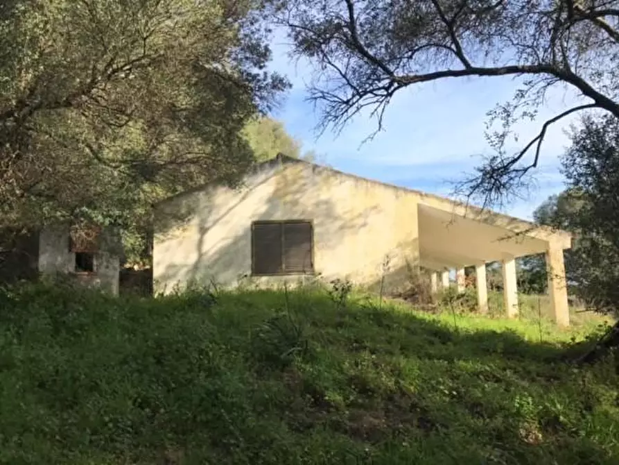 Immagine 6 di Azienda agricola in vendita  a Arzachena