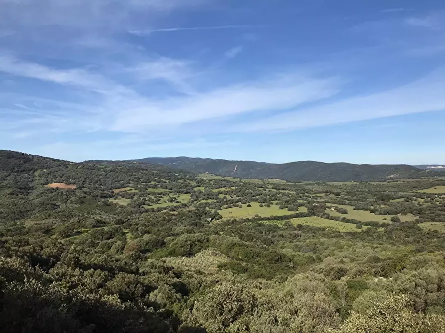 Immagine 42 di Azienda agricola in vendita  a Arzachena