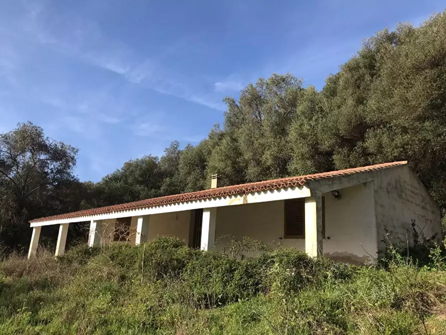 Immagine 5 di Azienda agricola in vendita  a Arzachena
