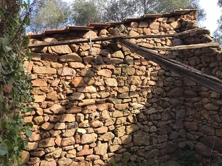 Immagine 14 di Azienda agricola in vendita  a Arzachena