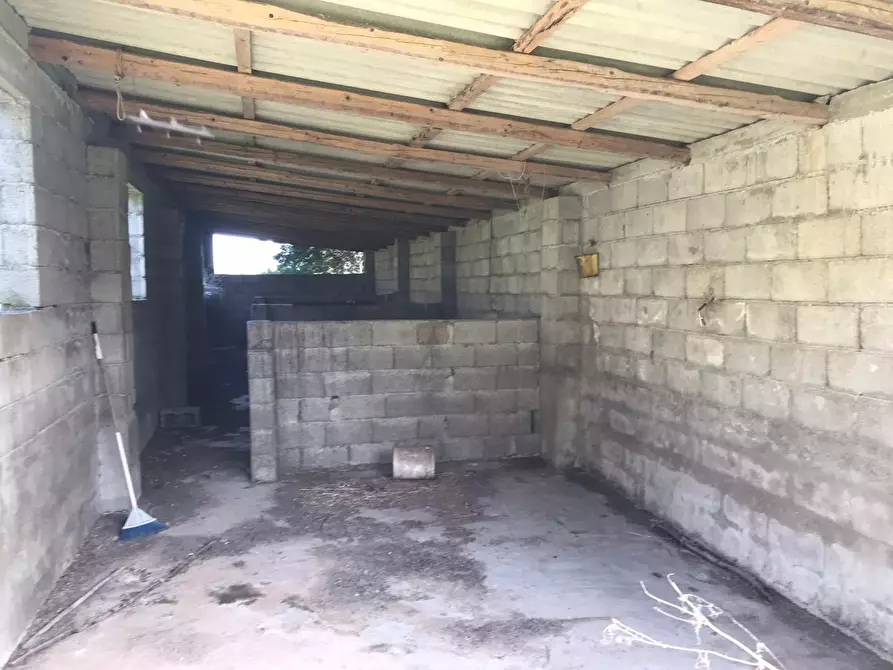 Immagine 19 di Azienda agricola in vendita  a Arzachena