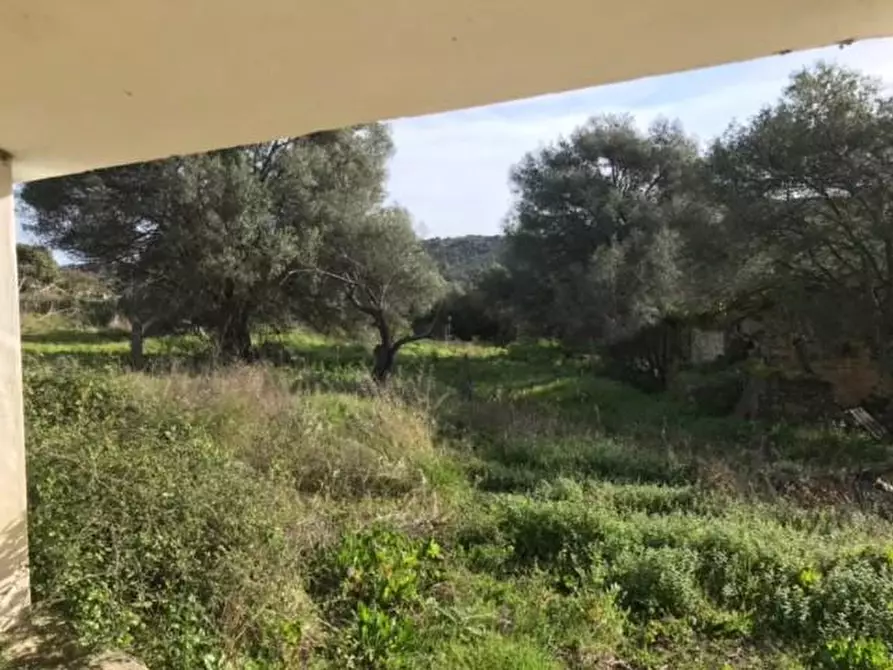 Immagine 8 di Azienda agricola in vendita  a Arzachena