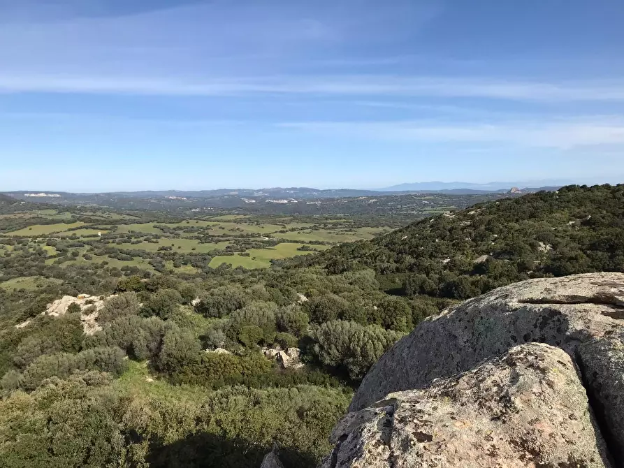 Immagine 50 di Azienda agricola in vendita  a Arzachena