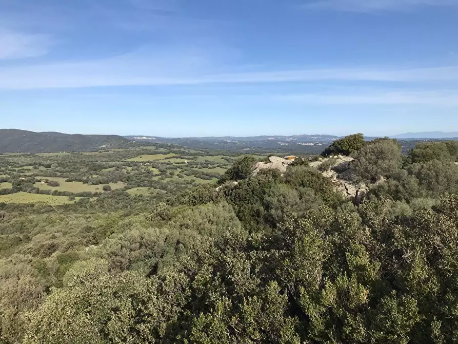 Immagine 43 di Azienda agricola in vendita  a Arzachena
