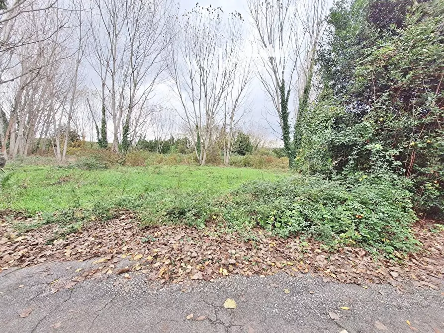 Immagine 42 di Villa in vendita  a Campi Bisenzio