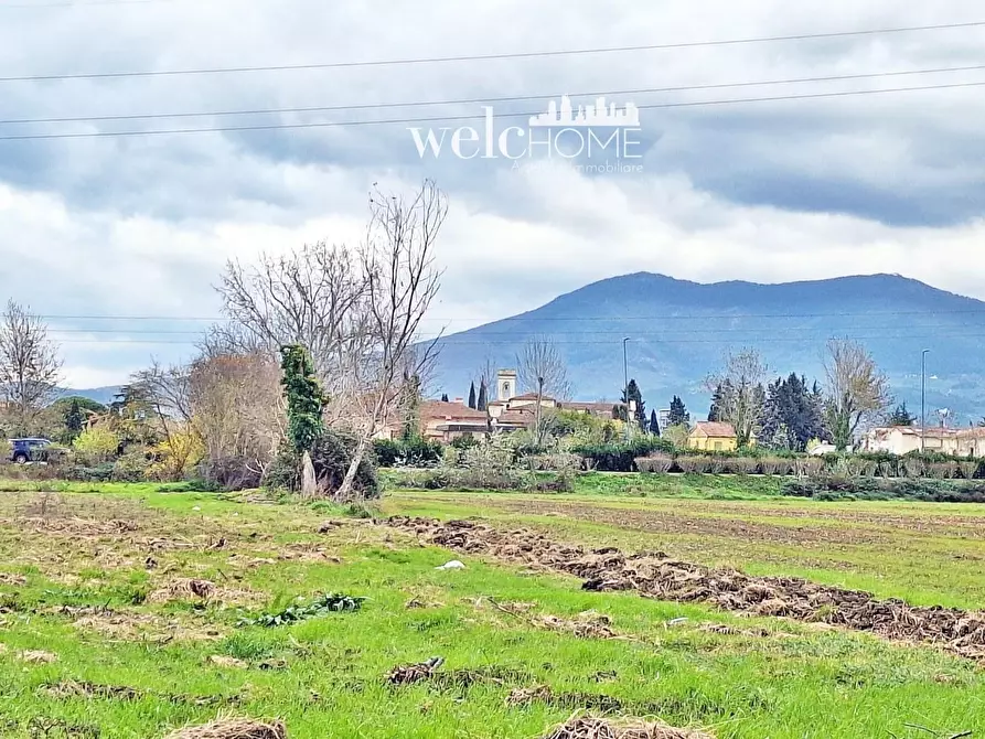Immagine 44 di Villa in vendita  a Campi Bisenzio