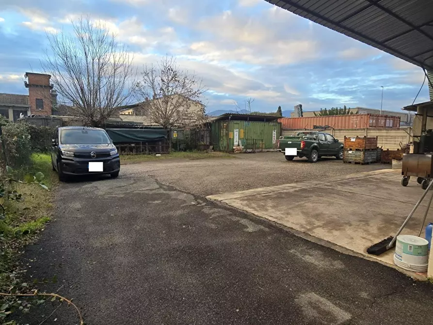 Immagine 11 di Attività artigianale in vendita  a Pontedera