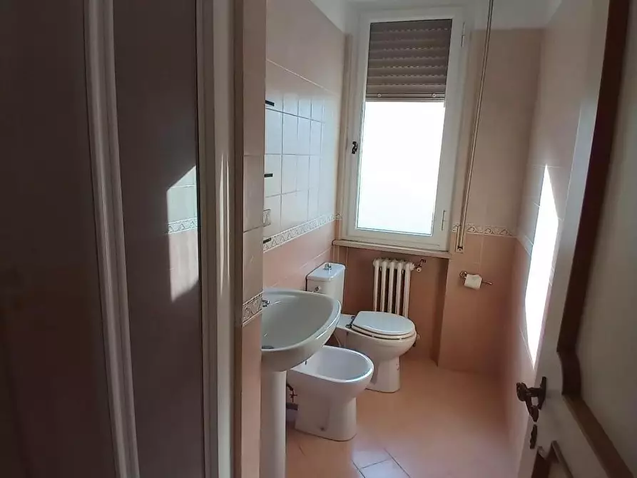 Immagine 11 di Casa bifamiliare in affitto  a Pisa