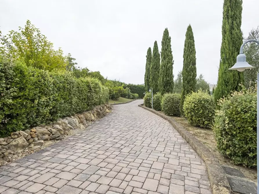 Immagine 28 di Casa colonica in vendita  a Gambassi Terme