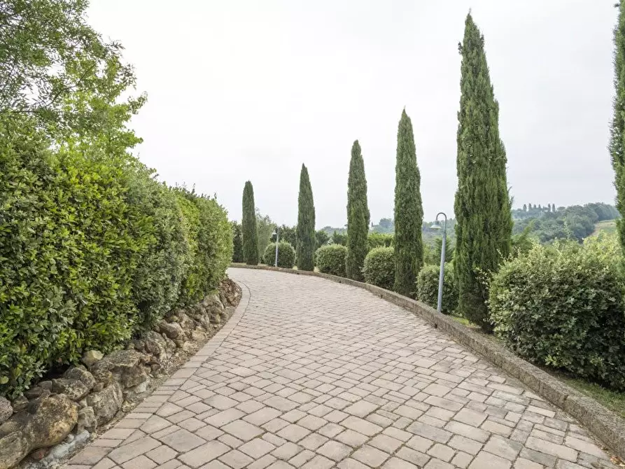 Immagine 25 di Casa colonica in vendita  a Gambassi Terme