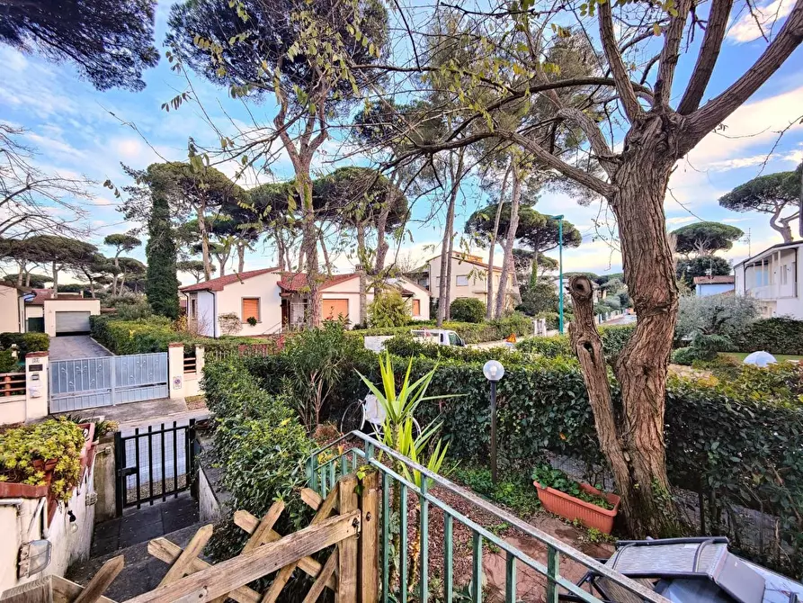 Immagine 24 di Appartamento in vendita  a Pisa