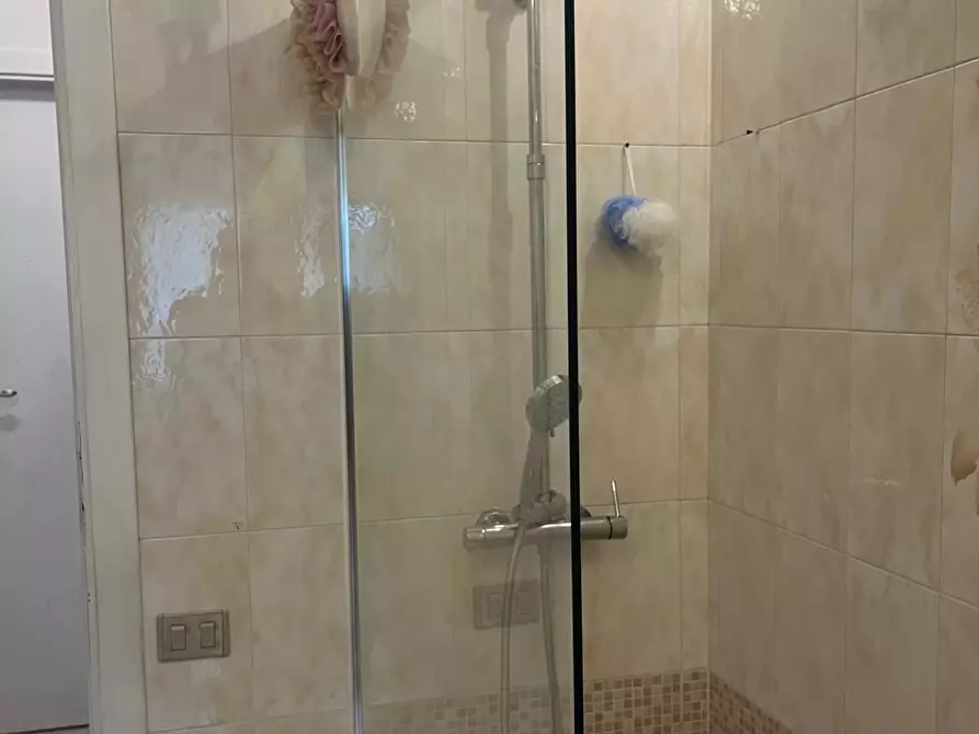 Immagine 11 di Appartamento in vendita  a Ponsacco