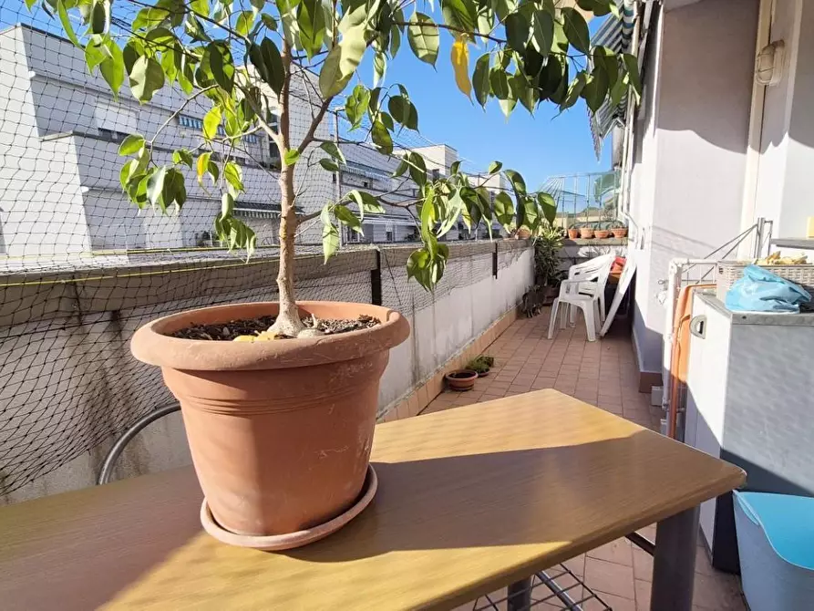 Immagine 56 di Appartamento in vendita  a Viareggio