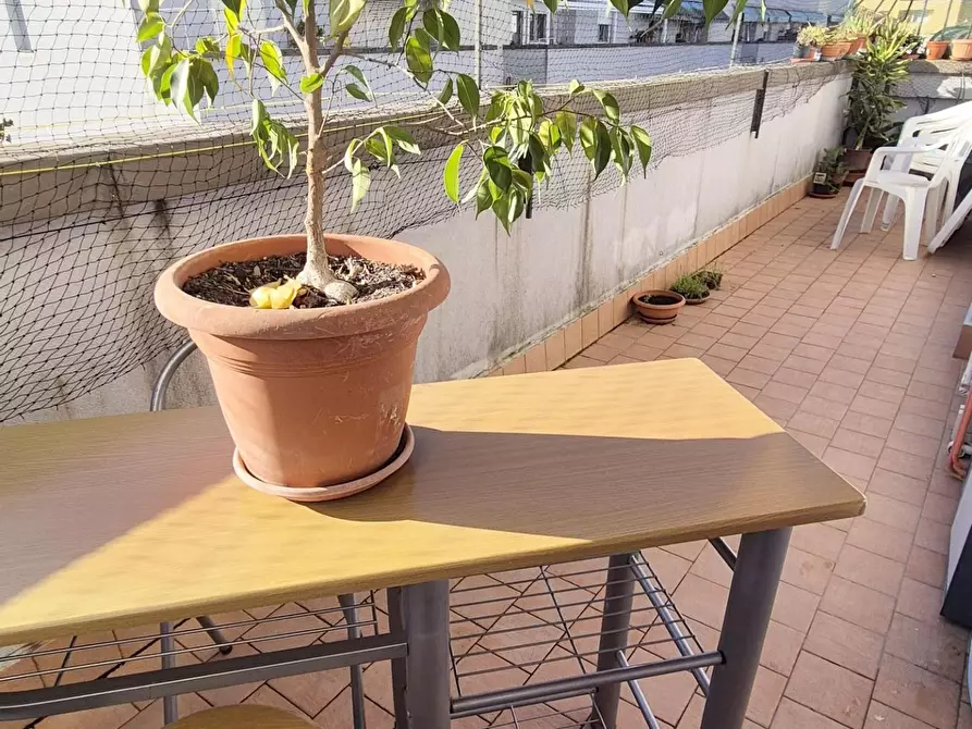 Immagine 58 di Appartamento in vendita  a Viareggio