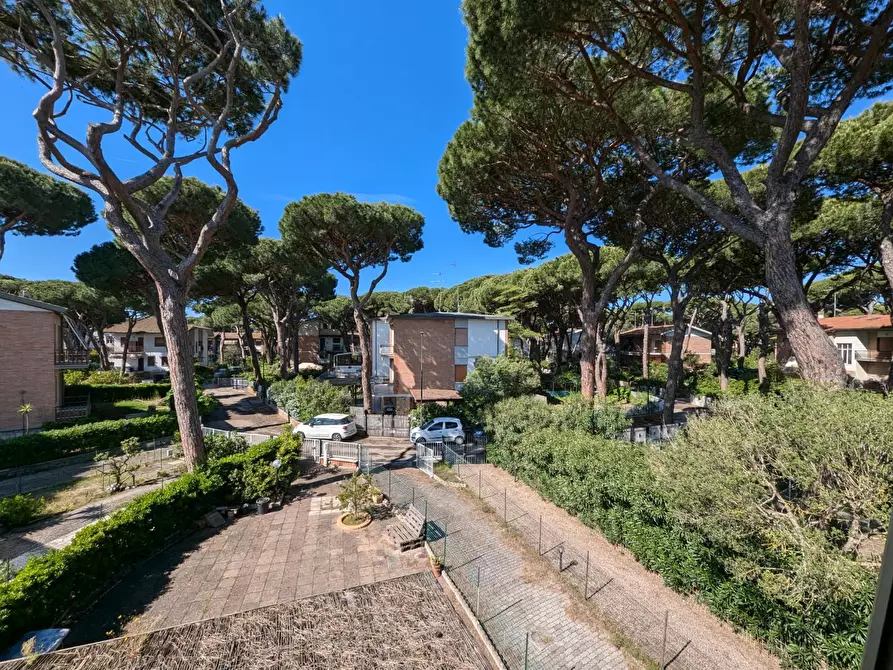 Immagine 7 di Appartamento in vendita  a Grosseto