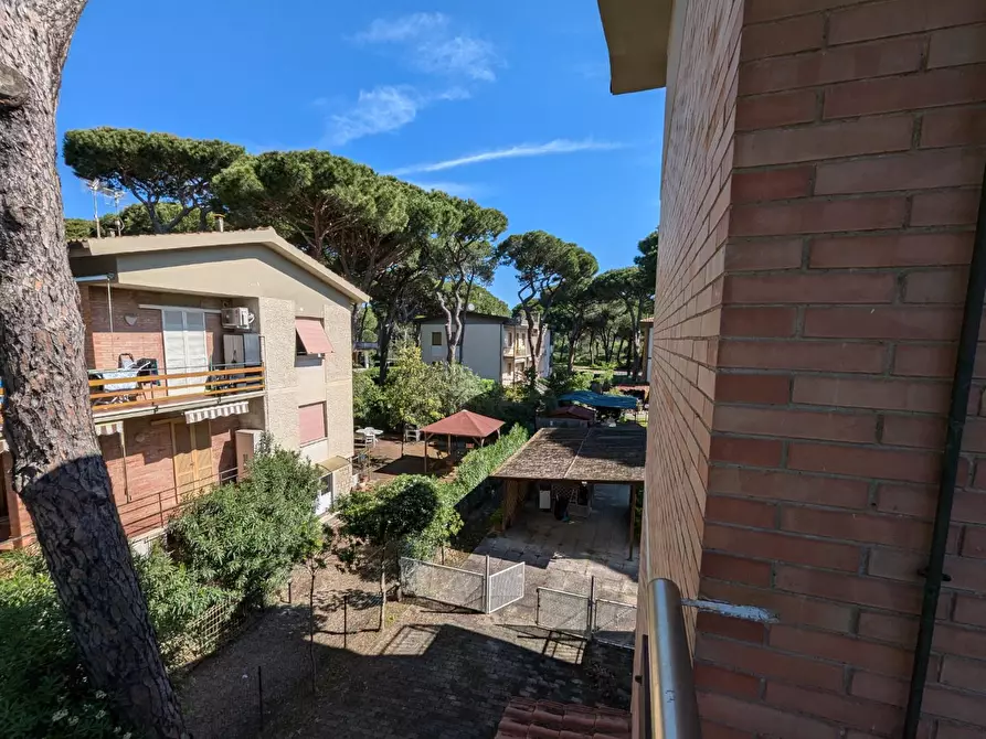 Immagine 8 di Appartamento in vendita  a Grosseto