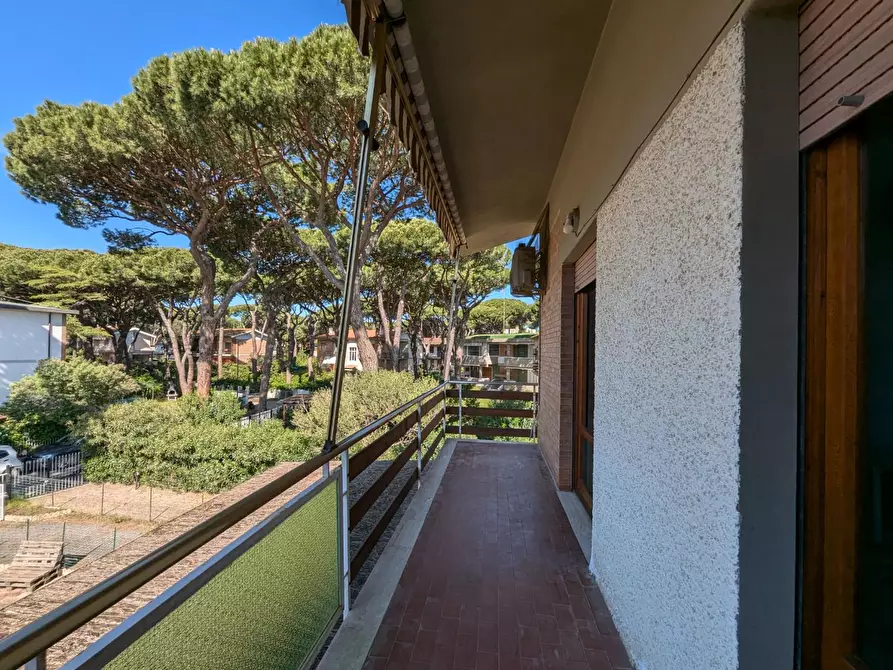 Immagine 5 di Appartamento in vendita  a Grosseto