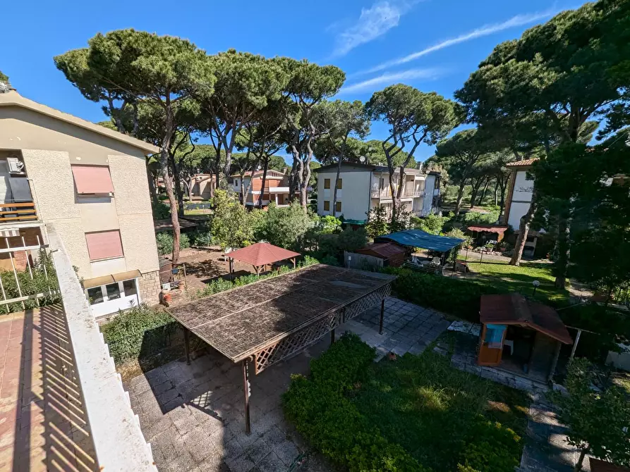 Immagine 12 di Appartamento in vendita  a Grosseto