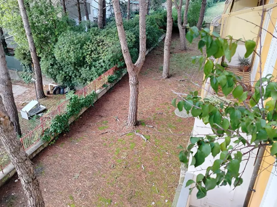 Immagine 2 di Appartamento in vendita  a Rosignano Marittimo