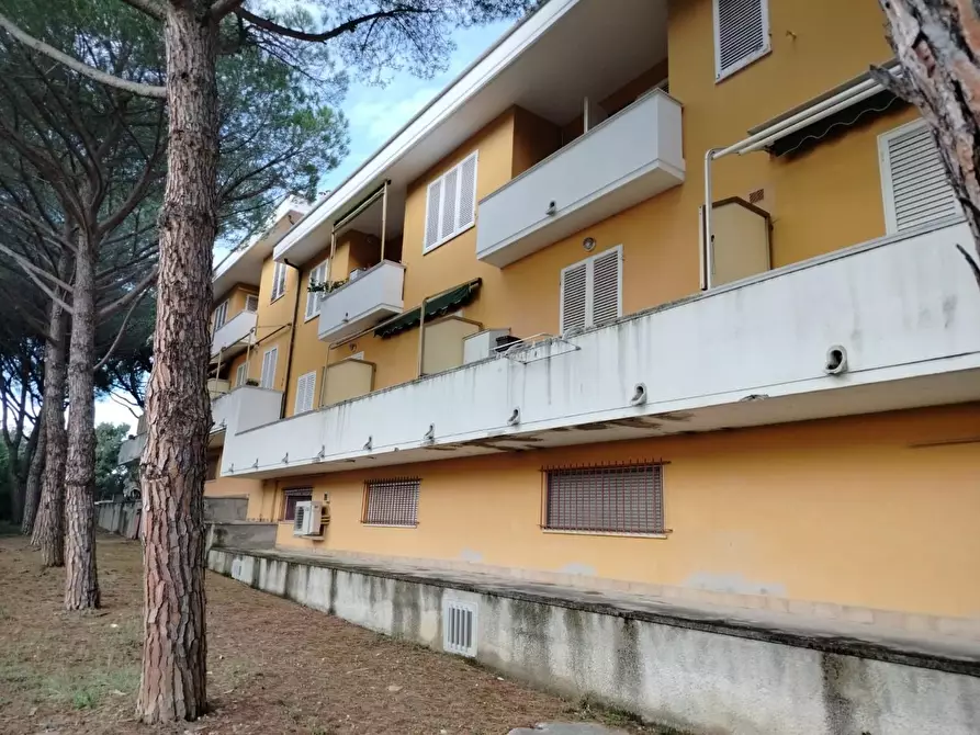 Immagine 18 di Appartamento in vendita  a Rosignano Marittimo