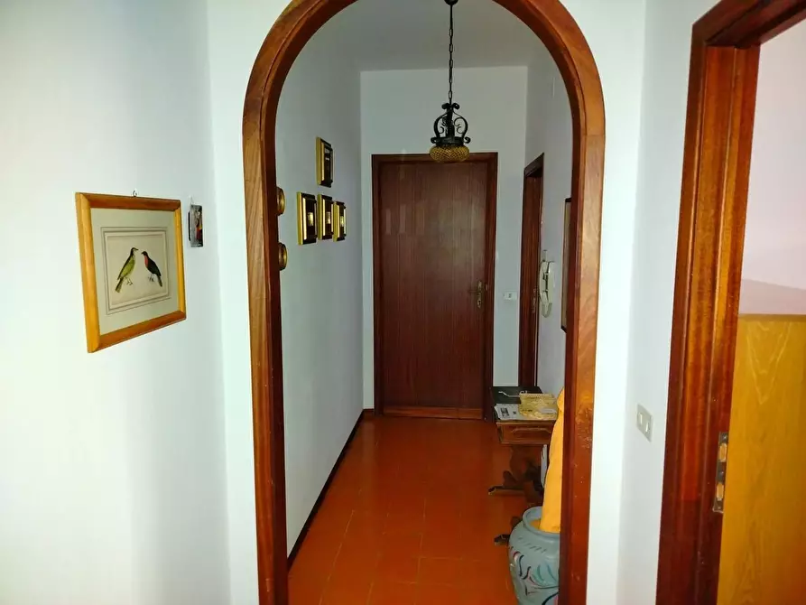 Immagine 19 di Appartamento in vendita  a Rosignano Marittimo