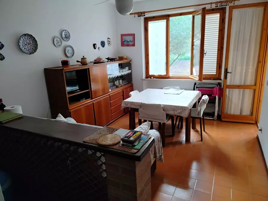 Immagine 5 di Appartamento in vendita  a Rosignano Marittimo