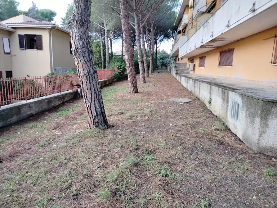 Immagine 4 di Appartamento in vendita  a Rosignano Marittimo