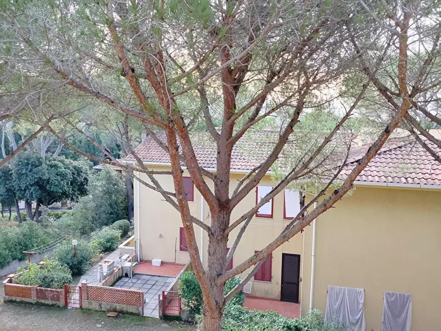 Immagine 3 di Appartamento in vendita  a Rosignano Marittimo