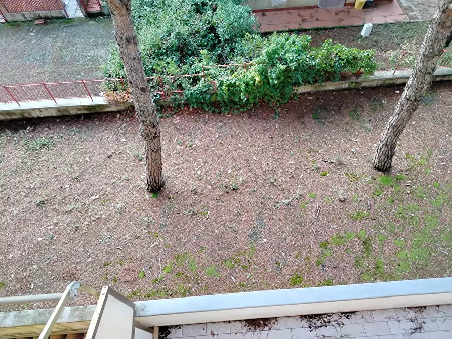 Immagine 24 di Appartamento in vendita  a Rosignano Marittimo