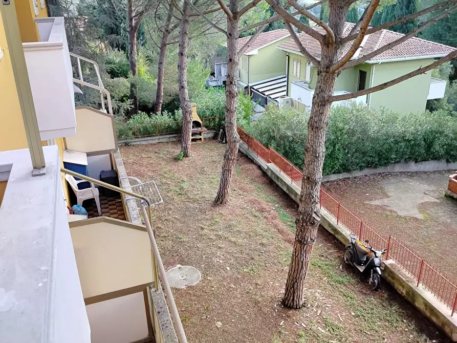 Immagine 21 di Appartamento in vendita  a Rosignano Marittimo